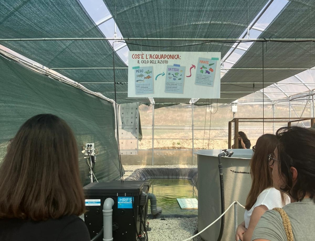 whatsapp-image-2025-06-27-at-182229-aspect-ratio-720-550