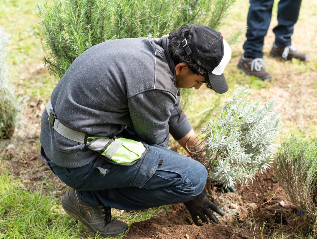 fep05953-aspect-ratio-662-500