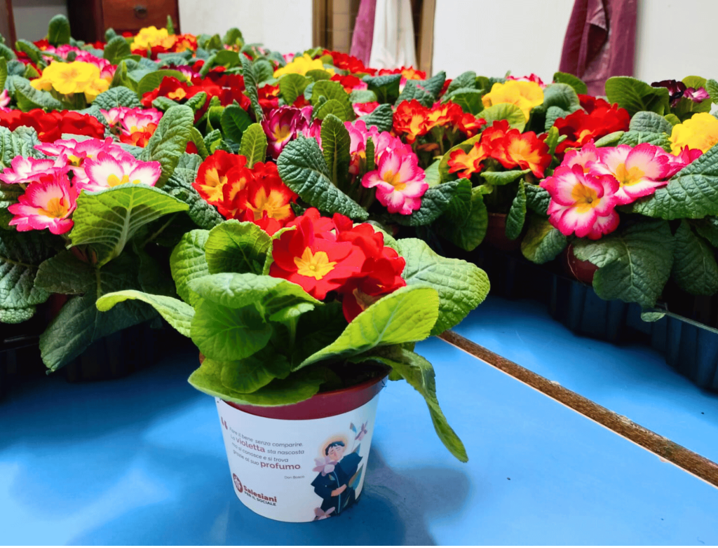 7-aspect-ratio-720-550